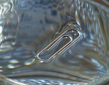 English: Surface tension: a clip floating in a...