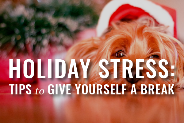 webinars for busy lawyers holiday stress
