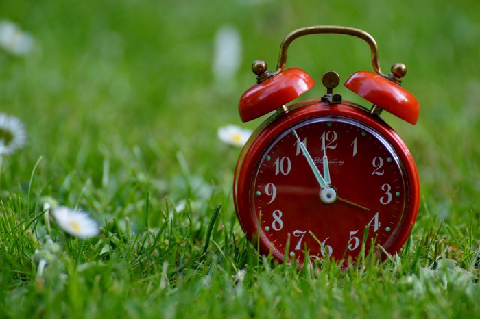 Photo of a red alarm clock on a grassy field