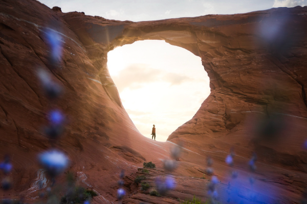 a hiker far off in the sunlit middle of an arch with purple flowers out of focus in foreground