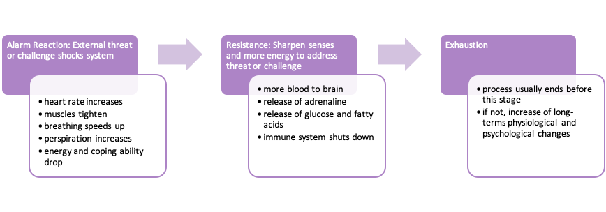 Hans Selye’s Stress Experience Model