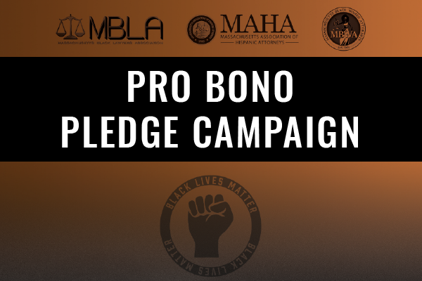 Open Until February 2021: Pro Bono Pledge Campaign - Walk in Solidarity for Social Change