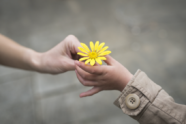 an image of one person's hand giving a dandelion to another person's hand